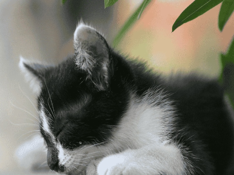 供l试管国内,没有口的试管